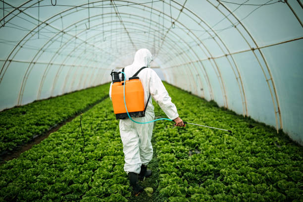Best Commercial Pest Control Services  in Hopkins, SC