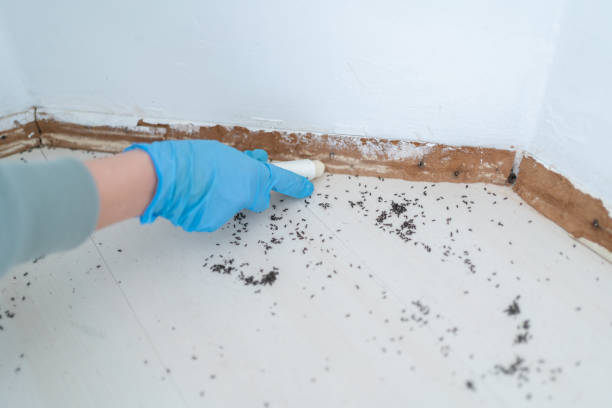 Best Pest Removal Services  in Hopkins, SC
